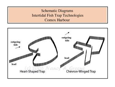 https://www.canadianarchaeology.com/comox/figure4.jpg