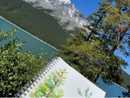 Nature Journaling with Dawn Saunders Dahl of Listen Studios – Canmore, AB Reconnect and re-imagine nature through the lens of an artist 
